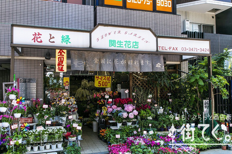 関生花店