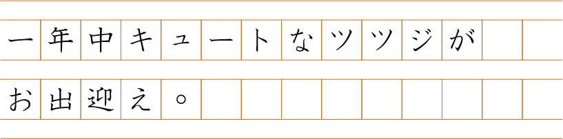 一年中キュートなツツジがお出迎え。